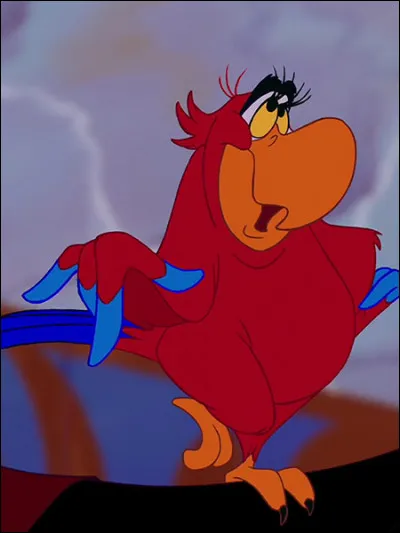 Quel est le nom de ce perroquet d'Aladdin ?