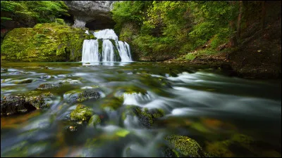 Lequel protège la Source de la Force ?