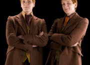 Quiz Fred et George Weasley (Harry Potter)