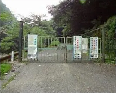 À l'entrée du village, un panneau indique : "Les lois constitutionnelles du Japon ne s'appliquent pas ici". Les personnes qui y sont allées ne sont jamais revenues.
Laquelle de ces informations est fausse ?