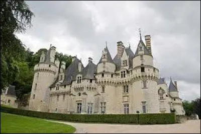 La ch&acirc;teau d'Uss&eacute; se situe dans le Loiret.