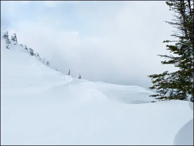 Quelle est cette couleur ?