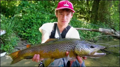 Quel est ton rêve ?