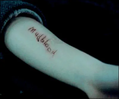 Quel est ton statut de sang ? (Ou lequel t'attires le plus ?)