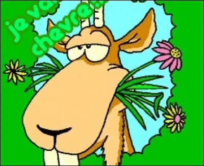 Que signifie l'expression "devenir ch&egrave;vre" ?