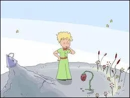 Compltez : 'Les fleurs sont faibles... elles sont naves. Elles se rassurent comme elles peuvent' :