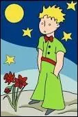 Le Petit Prince parle de la fleur : 'J'aurais d la juger sur les actes et non sur' :