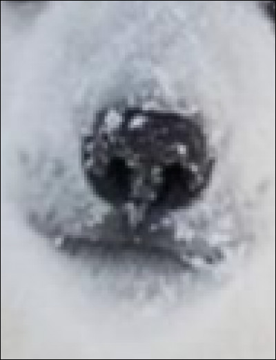 Celui-là est difficile à trouver :