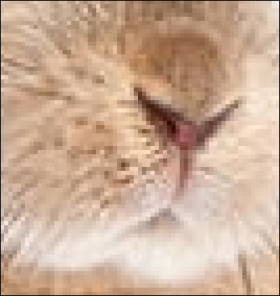 Attention, là, tu peux confondre !