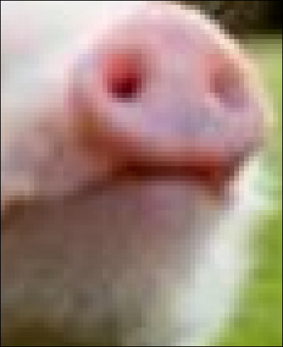 Allez une question facile !