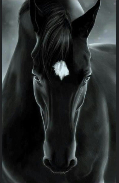 Le cheval fait partie de la famille des...