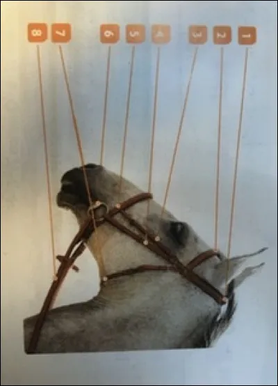 Comment se nomme la partie 5 ?