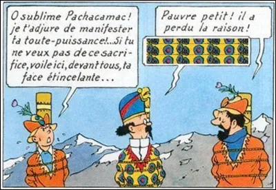 Notre pauvre professeur a pris un coup de soleil : au beau milieu des Andes, il croit entouré d'Égyptiens, c'est vous dire ! Que va-t-il répondre au Capitaine ?