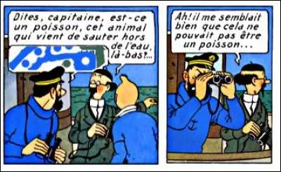 Parfois, on a l'impression que son entourage semble s'en amuser : que lui répond Haddock ?