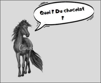 Le chocolat est-il mortel pour un cheval ?