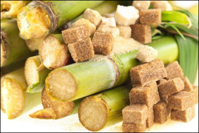 Au Moyen-Âge, des personnes découvrent la canne à sucre, c'était donc plus facile pour préparer des gâteaux.