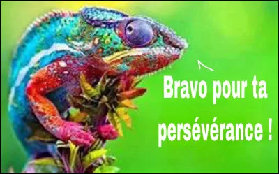 Selon le ministère de l'Échologie, les nappes fréatiques sont au plus bas. Les forêts brûlent. Le réchauffement climatique serait irréversible. Les ressources naturelles tomberont en désuètude, si on ne le contrecare pas, un jour où l'autre. Alors, cessons de jeter n'importe quoi n'importe ou et n'abusons pas du plastic qui polue les océans. La nouvelle aire sera celle de l'échoresponsabilité !