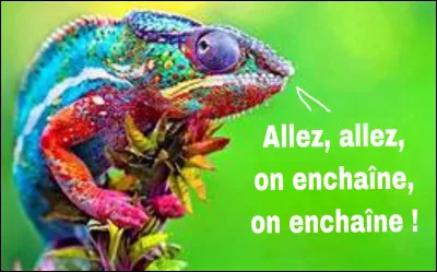 Paris, la jeune et belle héritière de la chaîne d'hôtels Hilton, se promenais, en cette magnifique mâtinée de dimanche, sur le Walk of Fame de Los Angeles. Qu'elle ne fut pas sa surprise quand elle s'aperçut quelle n'y figurait pas ! Déçu, elle tourna les talons, attrapa au vol un avion pour le Walk of Fame de Moscou et fut ravie de découvrir qu'on la célébrait ici, chez les communistes !