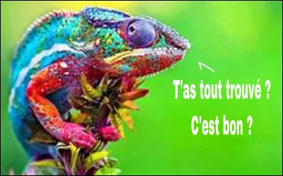 François, le François qui à décroché la tymballe à l'élection présidentielle de 2012, a proposé nonchalemment aux habitants de Tulle qu'ils se fassent appeler dorénavrant "Hollandais" au lieu de "Tullistes". La tuile ! Tollé au Havre ! « Et pourquoi pas "Philippins" pour les Havrais ! » a rétorqué Philippe Édouard. Le climat est maintenant irrémédiablement délétaire entre les deux protagonistes.