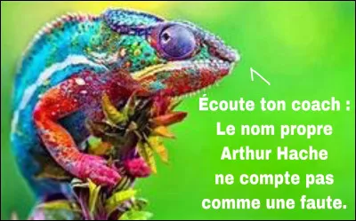 Arthur Hache, surnommé vulgairement "le bûcheron des cours", est un joueur de tennis avec lequel aucun champion ne peux rivaliser. Ses coûts droits, ses lobes, ses liftings sont tellement efficaces qu'il s'avert tout à fait inutile de courrir après. Ceux qui ont malgré tout essayé en ont fracassé leur raquette de dépit, que ce soit sur terre battue ou sur kick.