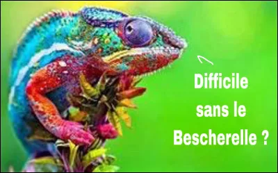 Ray Dayphez, un plombier américain d'origine polonaise, n'a pas pour habitude de rechigner à la tache. Son quotidien à lui, ce sont les chauffes-eaux, les fosses sceptiques, les siphons et bien d'autres pièces et appareils aux noms parfois rébarbatiphes qu'il faut changer sans sourciller. Et tout ça sans parler du colmatage à la serpillère, pour parer aux fuites !