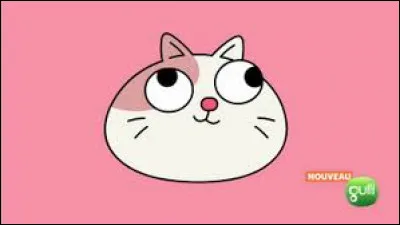 Comment se prénomme le chat ?