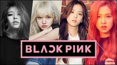 Si tu serais dans un groupe de K-pop, quel rôle aimerais-tu avoir ?