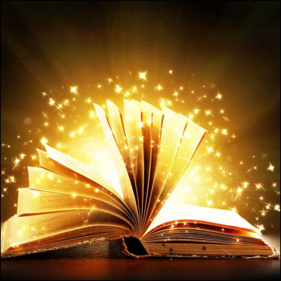 Que veut dire : "I love your quiz, it's super well structured !" en français ?