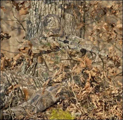 Un primate se cache sur la photo !