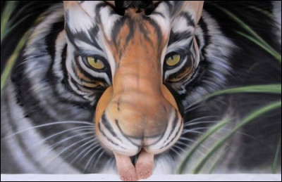 Ce n'est pas un vrai tigre que vous voyez sur cette photo !