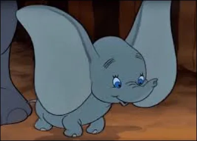 Où est assis Timothee lorsqu'il vole avec Dumbo ?