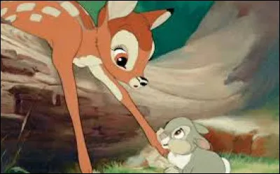 Quel est le premier mot que Bambi prononce lorsqu'il voit le jour ?