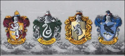 Quelle maison préfères-tu ?