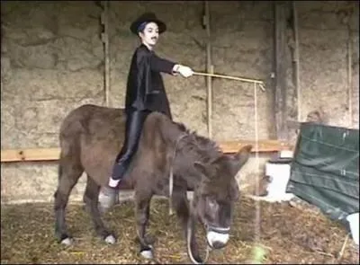 Comment s'appelle en réalité cet âne ? (Indice : il a tourné dans Zorro !)