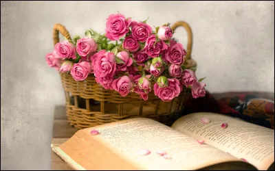 Quel livre est l'intrus ?