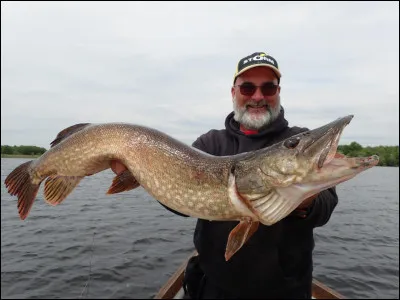Voici ce qu'on appelle une bonne pêche !
