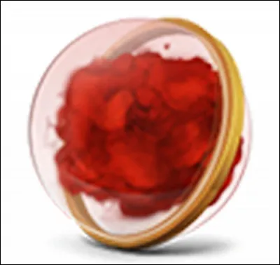 Quel est votre endroit préféré à Poudlard ?