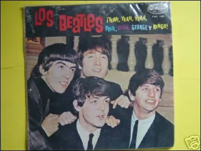 Jeunes des années 1960, amateurs d'un certain style de musique venu des États-Unis :