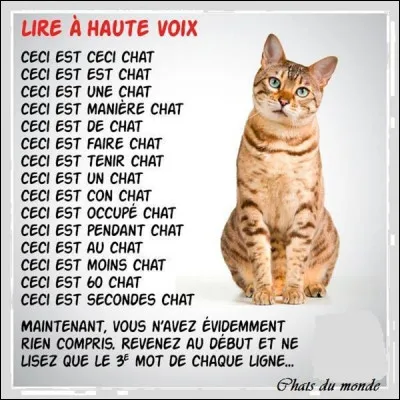 La différence entre un chien et un chat. Le chien pense : ils me nourrissent, ils me protègent, ils doivent être des dieux. Le chat pense : ils me nourrissent, ils me protègent, ...