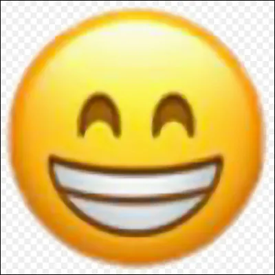 Quelles sont tes plus grandes qualit&eacute;s ?