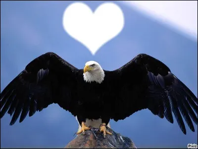 Comment dit-on aigle en grec ?