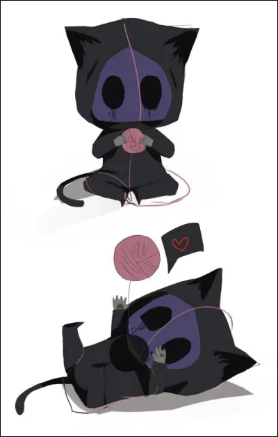 Quelle est sa particularité ?