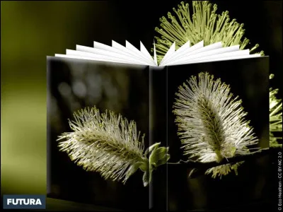 Parmi ces expressions, laquelle ne désigne pas un format de livre ?