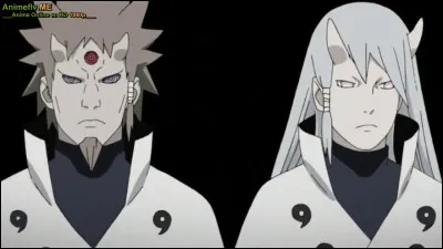 Qui sont les fils de Kaguya ?