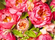 Quiz Les noms des fleurs