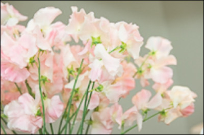 Et celle-l&agrave; ?