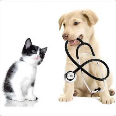 Fils/Fille : Papa ! Papa ! Plus tard quand je serai grand je voudrais devenir vétérinaire !
Papa : Désolé de te décevoir mais tu ne pourras jamais faire ça .
Fils/Fille : Mais pourquoi tu dis ça ? 
Papa : Parce que ... ?