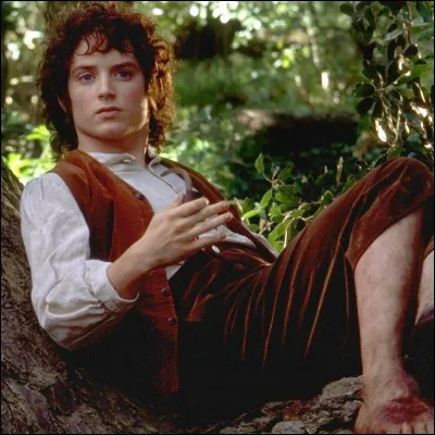 Comment se nomme le père de Frodon ?