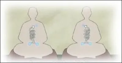 Quel est le sens de rotation du chakra de Naruto ?