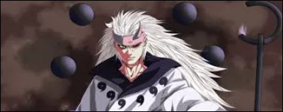 Naruto a hérité le pouvoir de quelle personne en "particulier" lors de la dernière grande guerre ninja ?